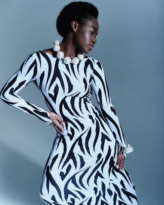 Zebra Dress